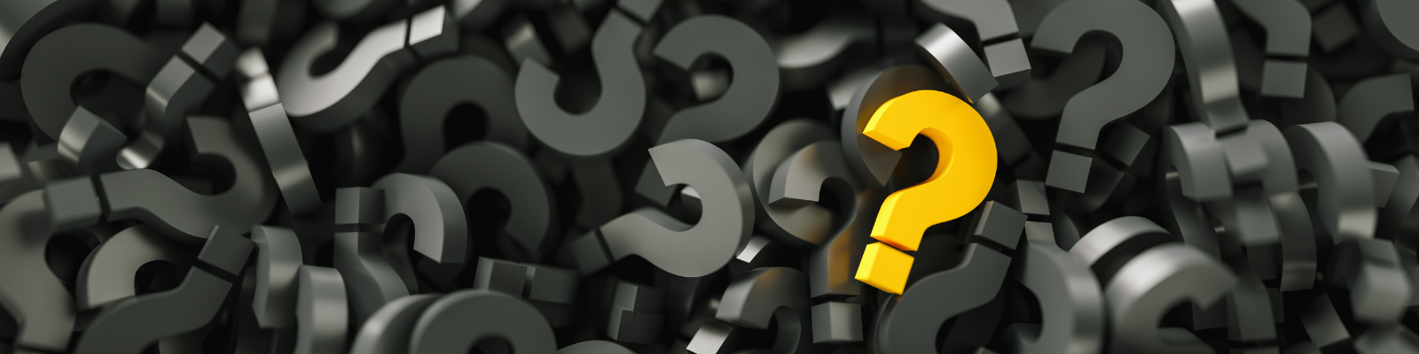 Die richtigen Fragen stellen